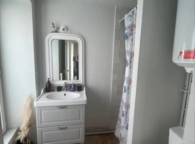 Overlooking The Notre Dame Cathedral Apartament